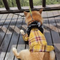評論圖片 4