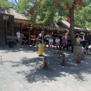 評論圖片 7