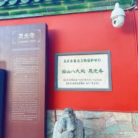 評論圖片 3
