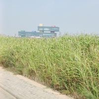 評論圖片 8