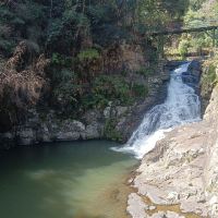 評論圖片 4