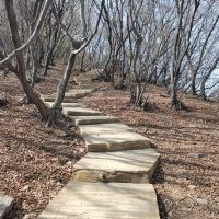 評論圖片 4