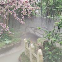 評論圖片 1