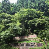 評論圖片 4
