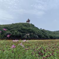 評論圖片 2