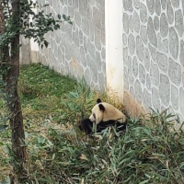 評論圖片 4