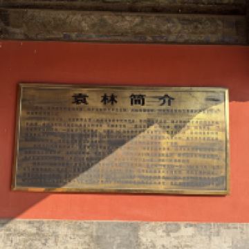 評論圖片 5