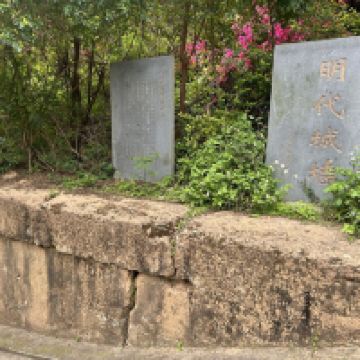 評論圖片 2