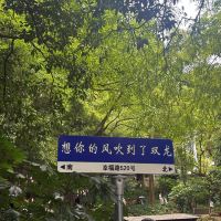評論圖片 2