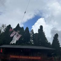 評論圖片 1