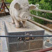評論圖片 7