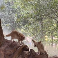 評論圖片 5