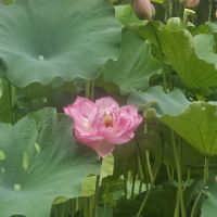 評論圖片 4