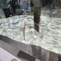 評論圖片 6