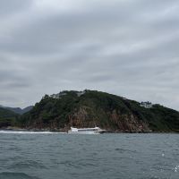 評論圖片 5