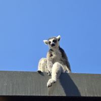 評論圖片 7
