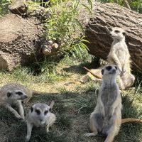 評論圖片 2