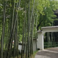 評論圖片 7