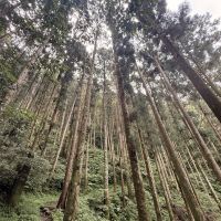 評論圖片 7