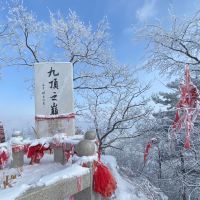 評論圖片 1