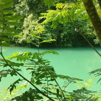 評論圖片 4