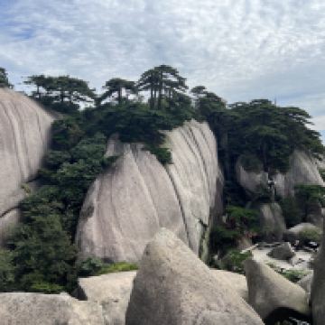 評論圖片 2
