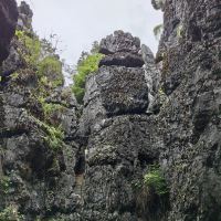 評論圖片 2