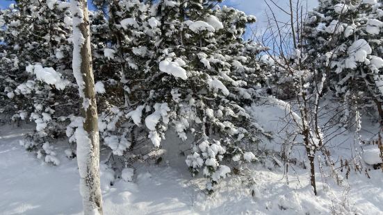 正值大雪后而且是旅游淡季，雪景很美人又不多，拍了很多照片，感