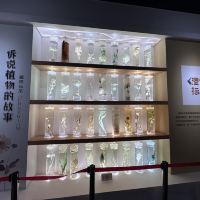 評論圖片 3