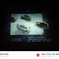 評論圖片 6