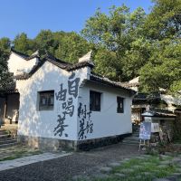 評論圖片 2