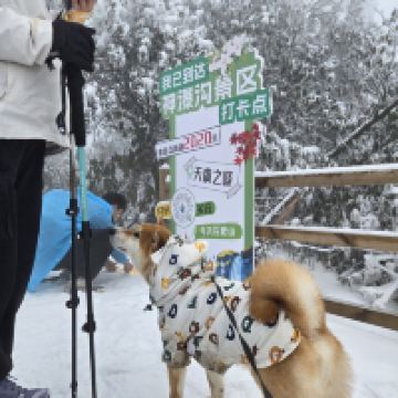 評論圖片 3