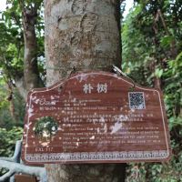 評論圖片 9