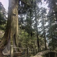 評論圖片 4