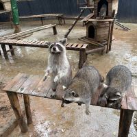 評論圖片 2