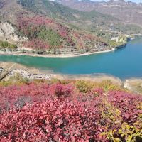評論圖片 4