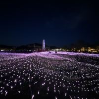 評論圖片 9