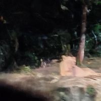 評論圖片 9