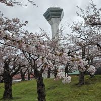 評論圖片 9