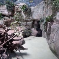 評論圖片 2