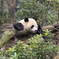評論圖片 4