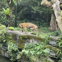 評論圖片 6
