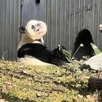評論圖片 1