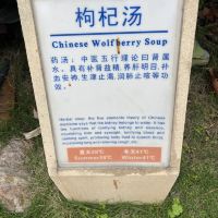 評論圖片 3