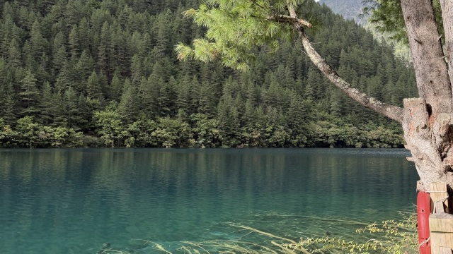 review picture