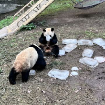 評論圖片 5