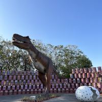 評論圖片 2