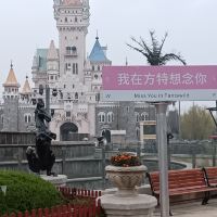 評論圖片 3