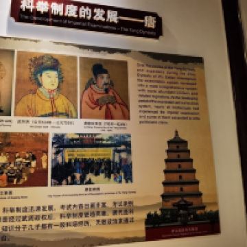 評論圖片 5