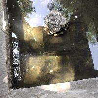 評論圖片 6
